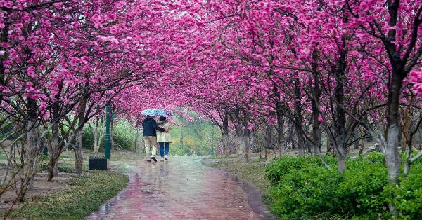 《春雨》  郭文玉